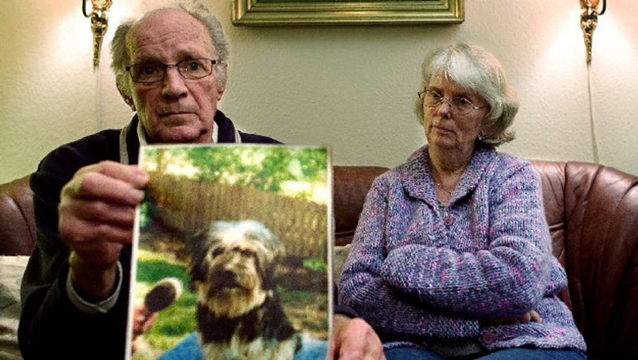 Gerda og Børge med et billede af deres lille guldklump, Bølle. Nu kræver parret, at loven ændres, så kamphunde skal holdes i snor og have mundkurv på. (Foto: Andreas Szlavik)