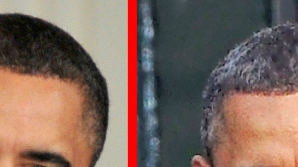 dannelse Somatisk celle Produkt Nej, Obama farver ikke håret! – Ekstra Bladet