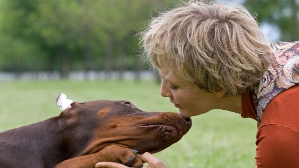 Hunden kan lugte din sygdom - og dine følelser – Bladet