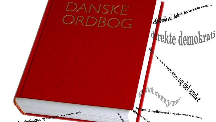Dansk er et svært sprog at lære, særligt de mange politisk korrekte begreber kan være næsten uforståelige, mener Michael S. (Foto: JP)