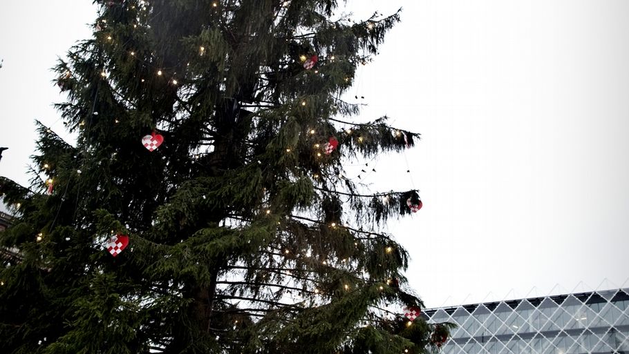 Det store juletræ på Rådhuspladsen i København er ved at blæse omkuld i vinden. (Foto: Linda Johansen)