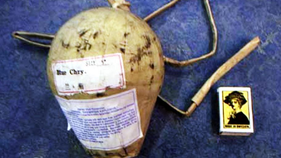 Nogle krysantemum-bomber er på størrelse med en tennisbold, andre fylder som en stor fodbold. (Politifoto)