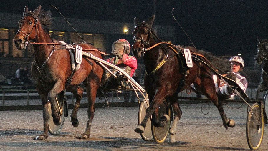 Korvet Klintholm og Steen Juul blev henvist til andenpladsen i hestens comeback-løb. (Foto: Lasse Jespersen)
