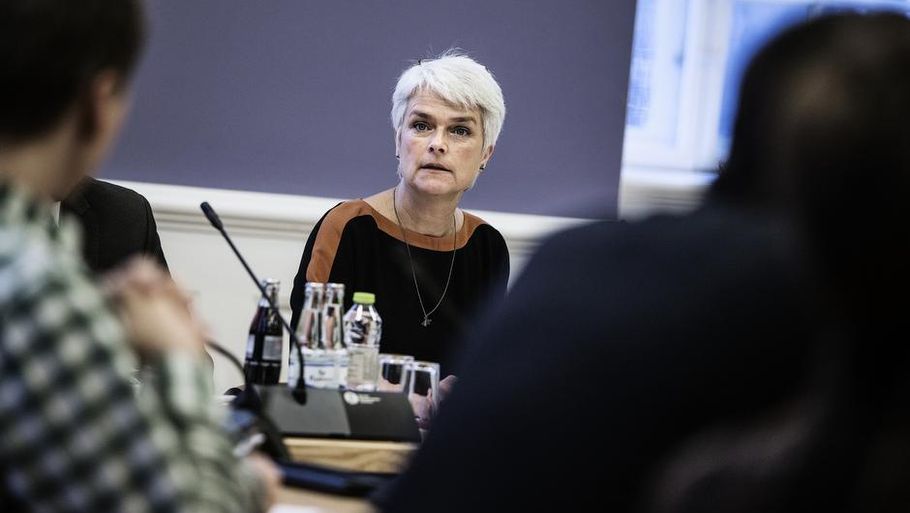 Annette Vilhelmsen (SF) kritiseres for at løbe fra sit ansvar som socialminister (Foto: Niels Hougaard).