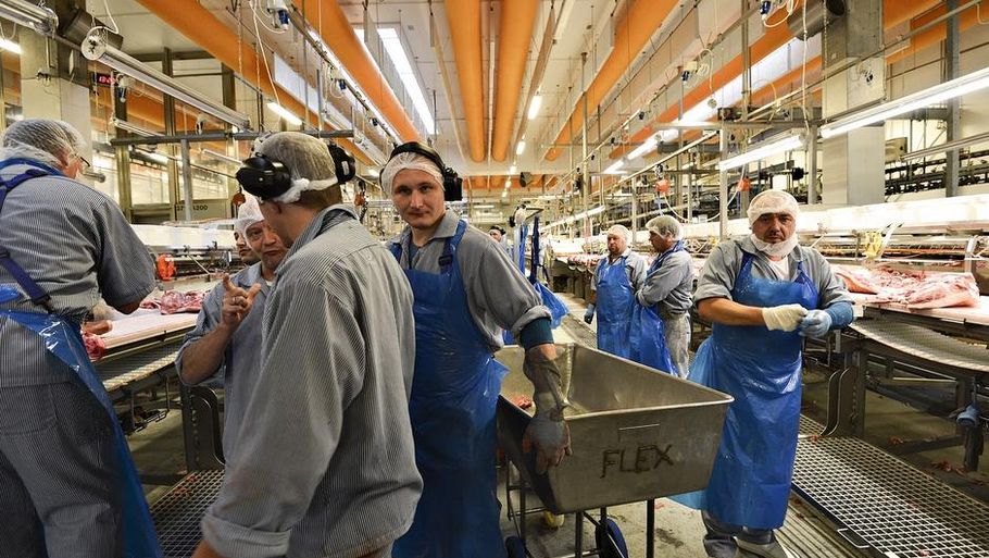 Medarbejdere på slagteriet i Horsens var blandt de Danish Crow- ansatte, der i september sagde nej til lavere løn. (Foto: Ernst van Norde)