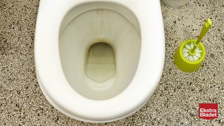 Dyrt svineri: du ALDRIG smide i toilettet – Bladet
