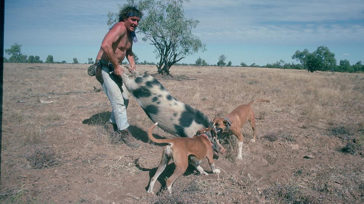 Freddy Wulff i sit es tilbage i 1992, hvor han fanger vildsvin levende i Australien. Han blev kendt, som vildmanden, Ugens Rapport sendte på eventyr i 1970’erne, og har siden været aktiv storvildtsjæger. Foto: Blid Alsbirk