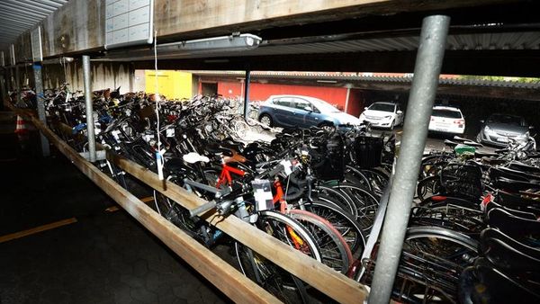 Syndicate skjold ægtefælle Politiet leder efter ejere i stor sag om stjålne cykler – Ekstra Bladet