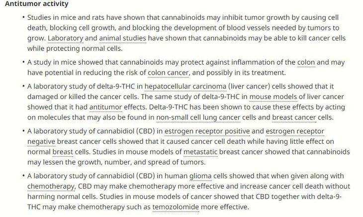 Især dette afsnit på den amerikanske regerings officielle hjemmeside med kræftråd neskriver, hvordan cannabis han dræbe kræftceller og hæmme deres vækst. (Screenshot fra www.cancer.gov)