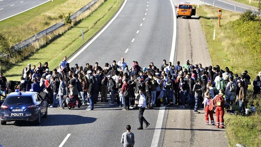 Sidste år kom titusindvis af asylansøgere gennem Danmark, men nu viser det sig at 2600 er rejst hjem til irak igen. Foto: Ernst Van Norde