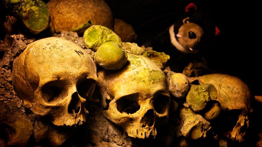 Katakomberne under Paris byder på lig i bunkevis. (Foto: Flickr/Mike Rowe)