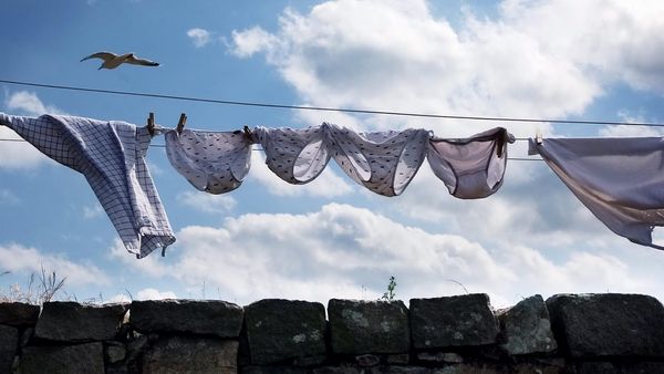 Forskere: Underbukser skal vaskes 60 grader – Ekstra Bladet