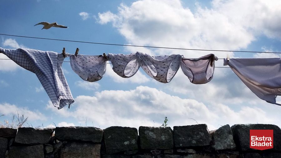 Palads Pigment underordnet Forskere: Underbukser skal vaskes ved 60 grader – Ekstra Bladet