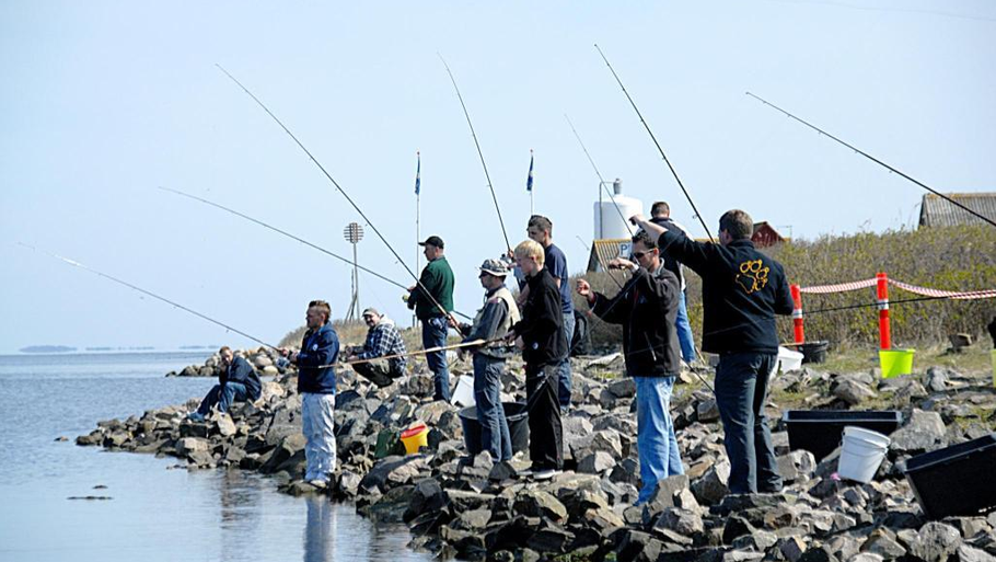 Ved den årlige sildefestival i foråret flokkes lystfiskerne på området ud mod sluseanlægget. Foto: Ringkøbing Fjord Turisme