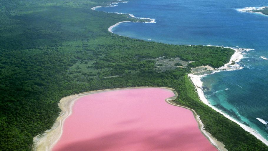 Denne sø er pink af en helt særlig årsag. Foto: Jean Paul Ferrero/Ardea/Caters News