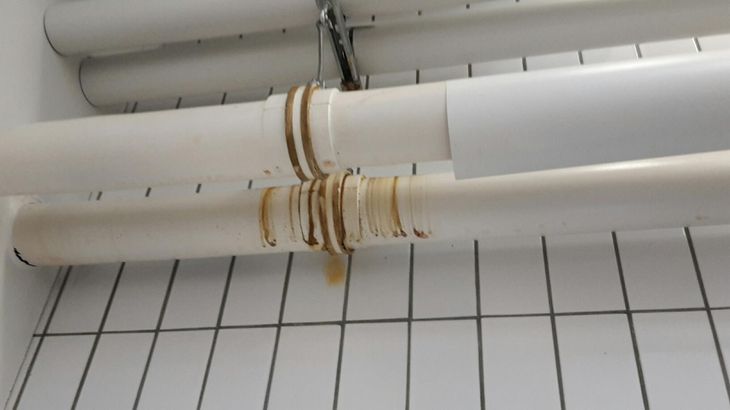 Snask på nogle rør i loftet i Rigshospitalets køkken. Foto: Fødevarestyrelsen