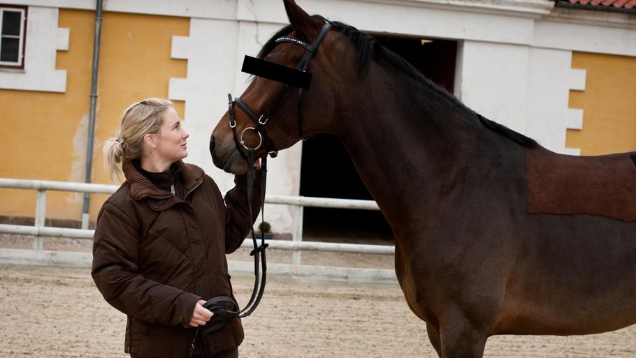 Sisse Langkilde er trænet rytter. Her ses hun med en anonymiseret hest, der ikke er hendes elskede Jazz. Foto: Jens Panduro