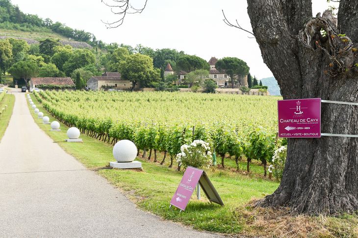 Vinmarkerne omkring Château de Cayx nær Cahors. Foto: AP