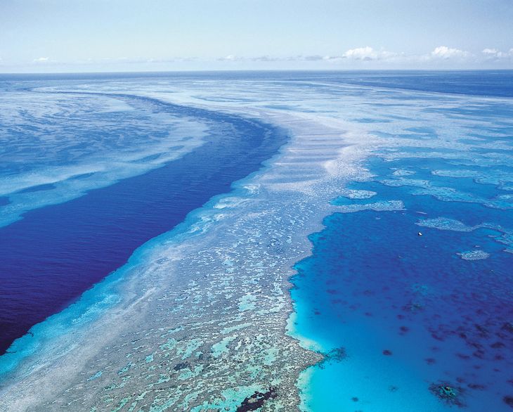 The Great Barrier Reef er verdens største koralrev og tiltrækker årligt tusindvis af turister. Foto: AP