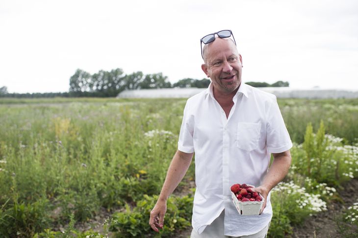 Kim Dupont, Dragør kom direkte fra sin sønd bryllupsfest i Sankt Petersborg forbi marken i Dragør for at få jordbær med hjem til aftensmad. Foto: Olivia Loftlund 