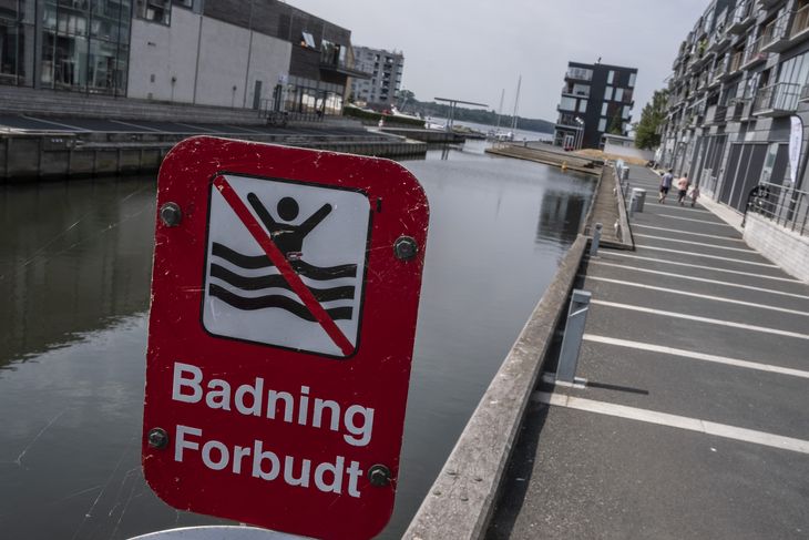 Det er her på Slotsbryggen, at Tingsted Å har udløb. Flere af beboerne omkring havnen har i årevis klaget over, at en kraftig dunst af afføring stiger op fra vandet, når en båd hvirvler op i bunden. Foto: Per Rasmussen.