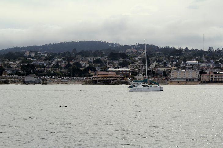 En lille del af Monterey Bay, som mange måske genkender fra HBO-serien 'Big Little Lies'. Foto: Nanna C. Pedersen