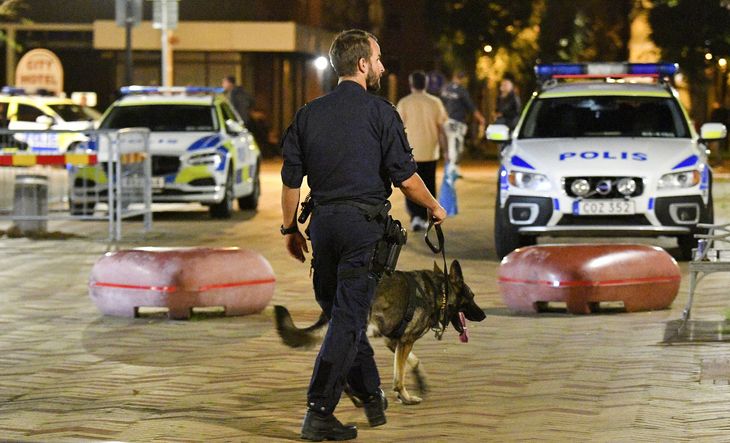 Politiet undersøger gerningsstedet i Helsingborg med blandt andet hunde. Foto: Foto: 50090 Johan Nilsson/TT/Ritzau Scanpix