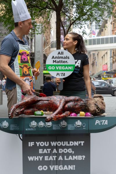 Bryggeri røgelse Illusion Veganere grillede 'hund' for at få folk til at lade være med at spise kød –  Ekstra Bladet