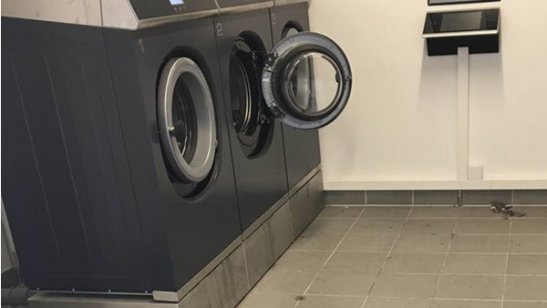 med beskidt tøj: Vaskemaskinen har slugt mine penge – Ekstra
