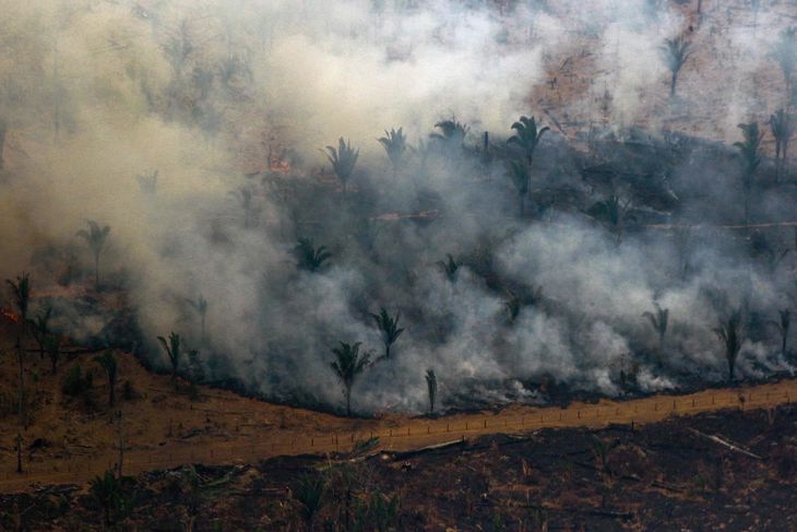 Skovbrande raserer Amazonas. Foto: Ritzau Scanpix