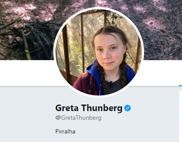 Her har Greta Thunberg i sin biografi på Twitter skrevet ordet 'pirralha'(møgunge). Foto: Twitter.