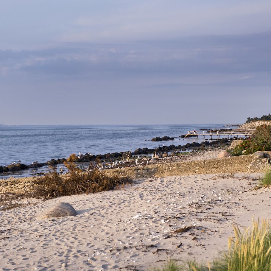 Må boligejere spærre deres badestrand af?