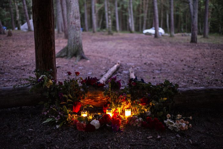 Stedet i Nordskoven, hvor den 28-årige mand blev fundet. Foto: Rasmus Flindt Pedersen