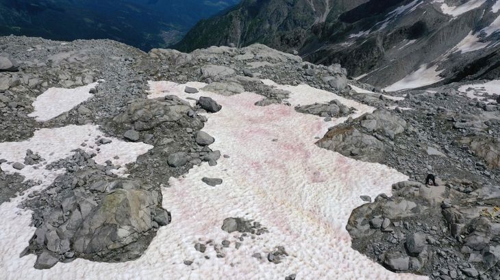Smukt ser det ud, men den lyserøde sne kan ses som en konsekvens af menneskeskabte klimaforandringer. Foto: Miguel Medina/AFP
