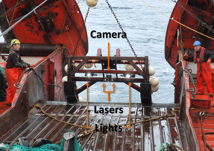Sådan så det hjemmelavede udstyr ud, som forskerne benyttede til at fotografere havbunden. Foto: Stephen Long
