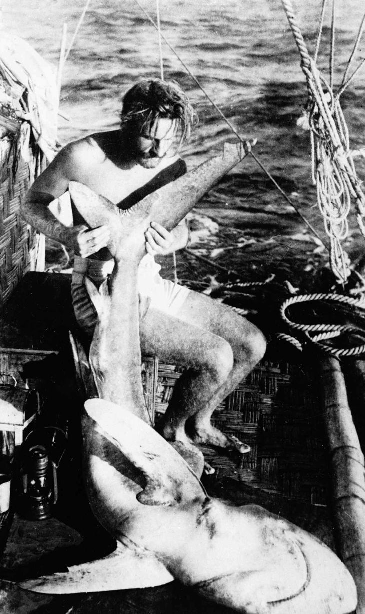 På rejsen fangede Heyerdahl blandt andet en haj. Foto: AP