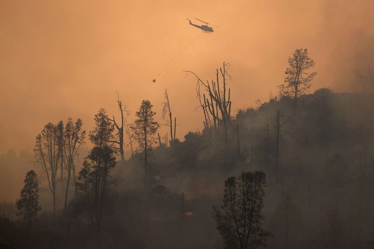 Store dele af Californiens skove er udbrændte. Det har været et rekordslemt år. Foto: Adrees Latif/Ritzau Scanpix