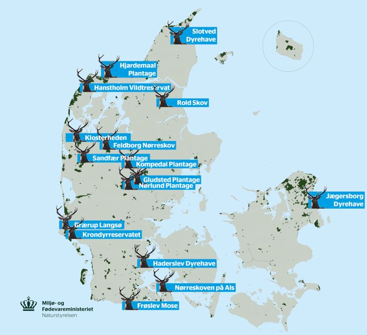 Naturstyrelsens kort viser, hvor i landet du finder de bedste steder at se krondyr. Illustration: PR