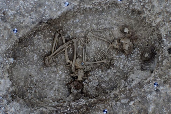 Skelettet her tilhørte en kvinde i 20’erne eller begyndelsen af 30’erne. Hun er fundet i kort afstand af Stonehenge og menes at være 4500 år gammel. Foto: Wessex Archaeology