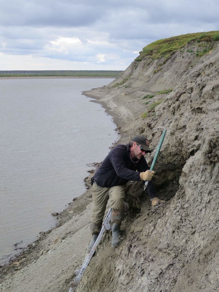 En arkæolog graver efter fossiler fra arktiske dinosaurer i Alaska. Foto: Patrick Druckenmiller/Ritzau Scanpix