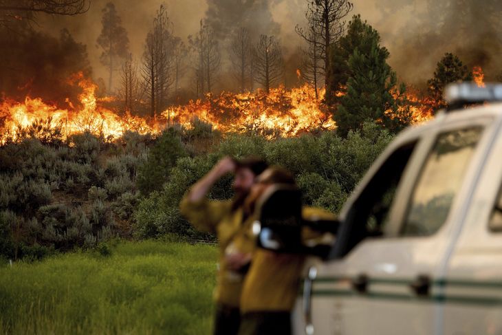 En skovbrand i Sierra Nevada blev er antændt af et lyn. På bare et døgn fordoblede branden i størrelse. Foto: Noah Berger/Ritzau Scanpix