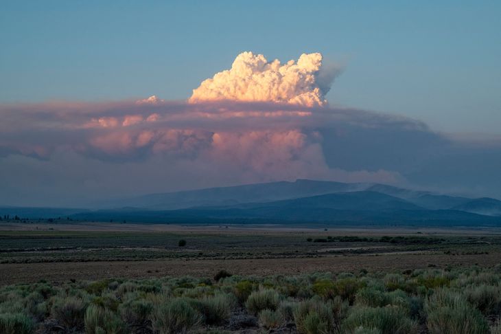 En stor røgsky over delstaten Oregon i USA. Skovbrande raserer flere steder i Nordamerika. Foto: Payton Bruni/Ritzau Scanpix
