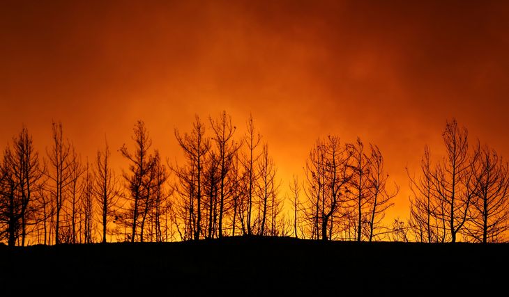 En skovbrand nær byen Manavgat, som ligger øst for turistbyen Antalya. Foto: Kaan Soyturk/Ritzau Scanpix