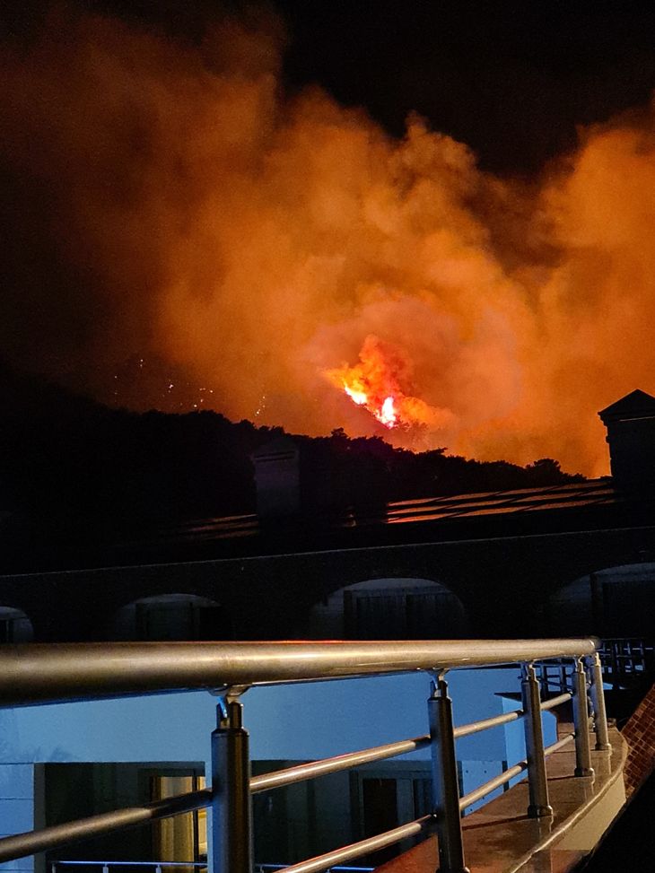 Ca. 50 meter fra Søs Schwaners hotelværelse raserede en af de voldsomme skovbrande. Privatfoto
