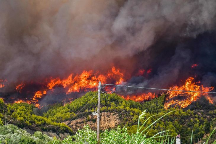 Skovbranden nær Ancient Olympia i det vestlige Grækenland. Foto: STR/Ritzau Scanpix