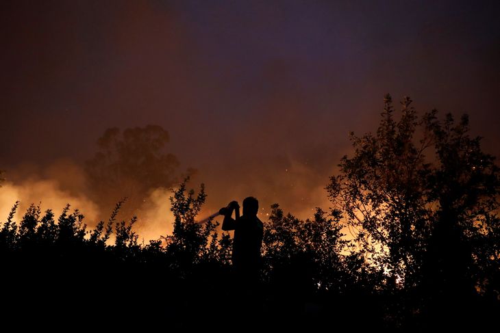 Brandmænd kæmper en brav kamp mod ilden - her er det en skovbrand på øen Evia.Foto: Costas Baltas/Ritzau Scanpix