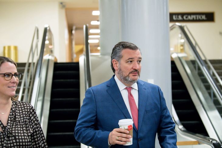 Den amerikanske senator Ted Cruz er (igen) kommet i modvind i USA. Foto: Liz Lynch/Getty Images/AFP/Ritzau Scanpix