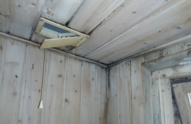Også loft og vægge var svært medtaget af vandskaden, som blandt andet forårsagede skimmelsvamp i sommerhuset. Foto: Privat 