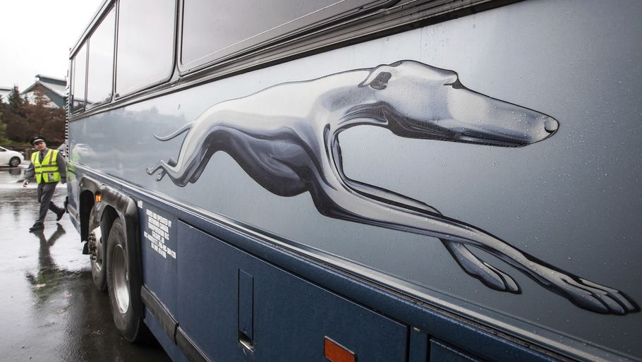 Det ikoniske amerikanske busselskab Greyhound kommer nu på tyske hænder. Her ses en af selskabets busser. (Arkivfoto). Foto: Darryl Dyck/Ritzau Scanpix