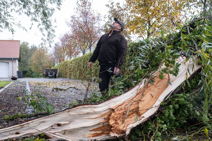 Kim Madsen sammen med en af de kraftig grene, der blev blæst ned. Foto: Per Rasmussen